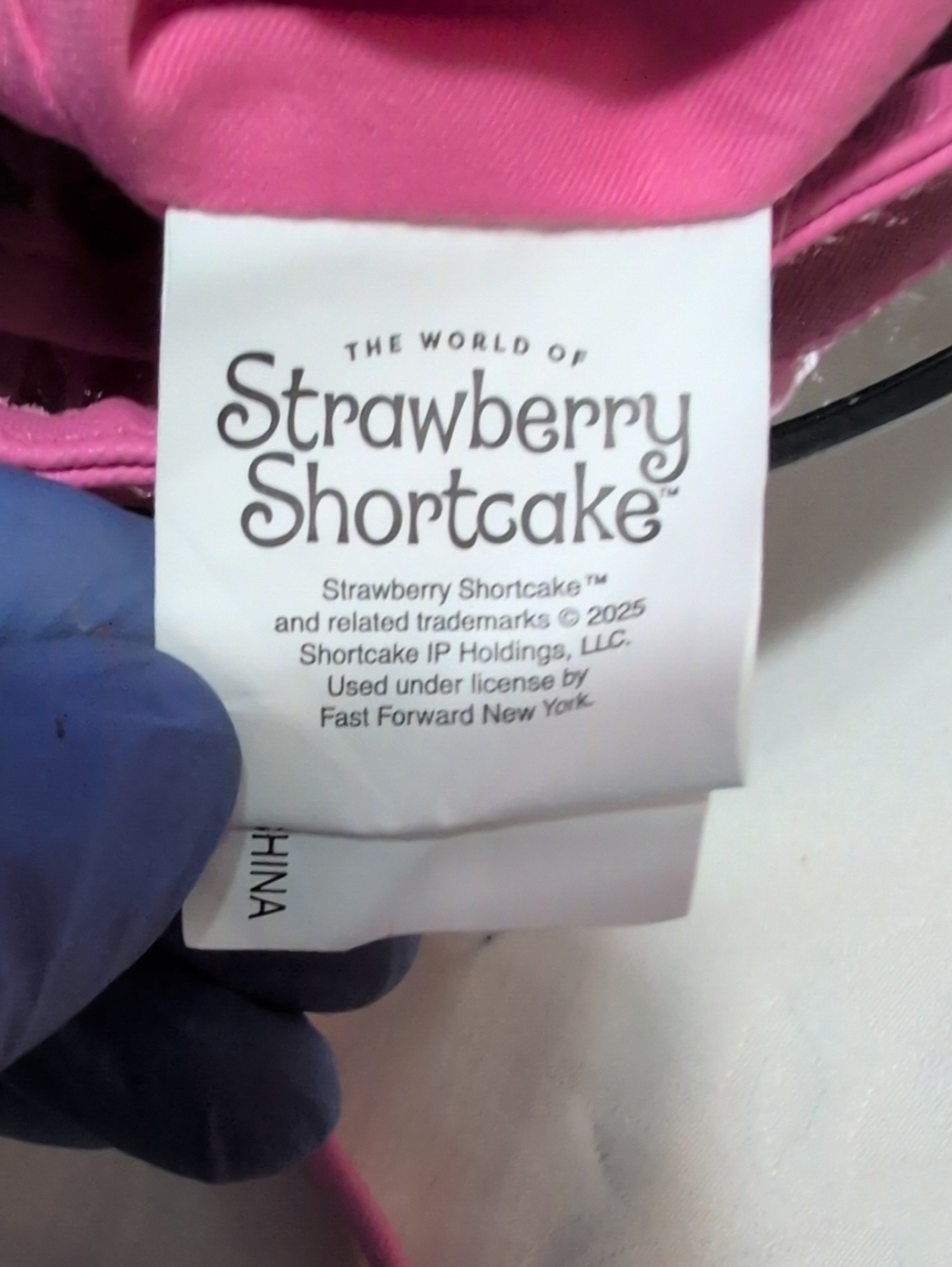 Shannon's Birthday Surprise Strawberry Shortcake Mini Bucket Bag - ๐ Bundle ๐ - Picture 16 of 16